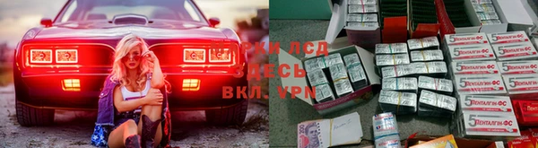 первитин Богданович