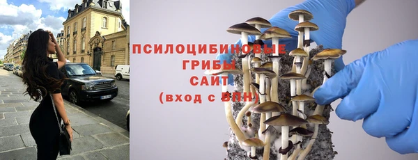 соль ск Богородицк