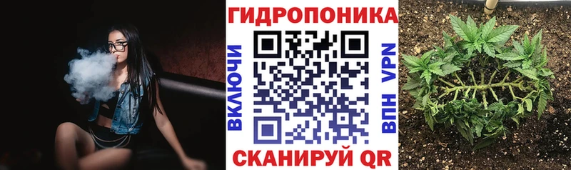 Каннабис гибрид  блэк спрут сайт  Барабинск  купить наркотик 